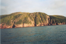 582: Red Island. "Stony". (2002) [courtesy of Heather Walsh]